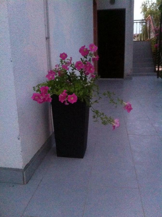 Apartmani Jadranka Βόντιτσε Εξωτερικό φωτογραφία